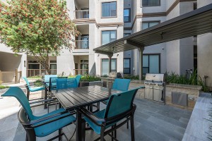 Apartment in Houston's Energy Corridor for rent - Outdoor Grilling Area with Seating    