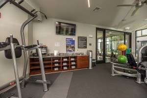Apartments in Houston's Energy Corridor for rent - Fitness Center with TV             