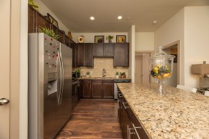 2 Bedroom Apartment in Houston's Energy Corridor for rent - Model Kitchen Interior   